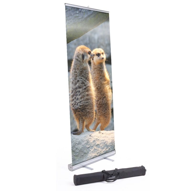 DI Meerkat - Support de bannière enroulable 33 po x 78 po