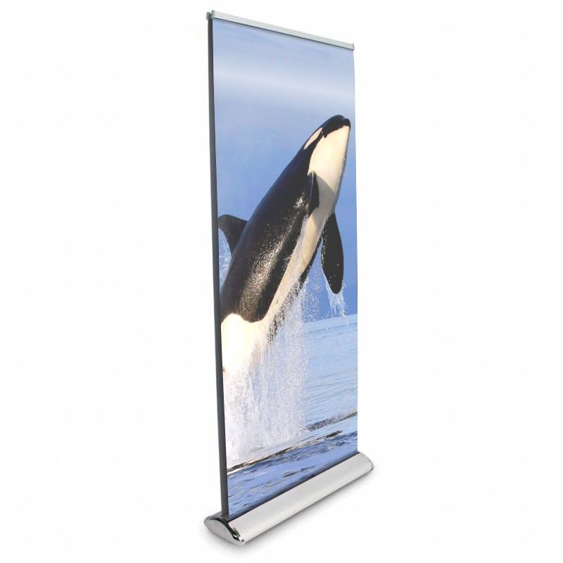 Support de bannière enroulable double face DI Orca - 33 po x 78 po