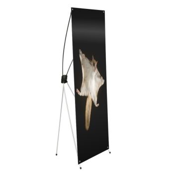 DI Flying Squirrel - Support X-bannière  - 23,5 po x 63 po