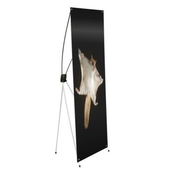 DI Flying Squirrel X Banner Stand - 23.5in x 63in