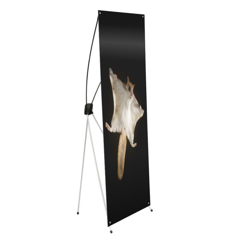 DI Flying Squirrel - Support X-bannière  - 23,5 po x 63 po