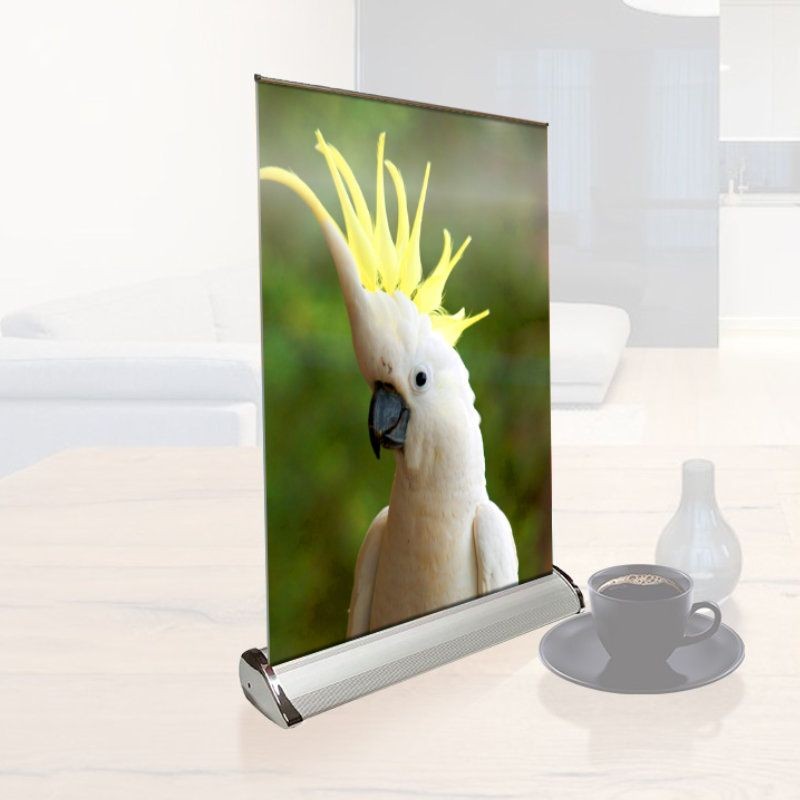 DI Cockatoo - Support de bannière enroulable de bureau - 11,75 po x 17 po