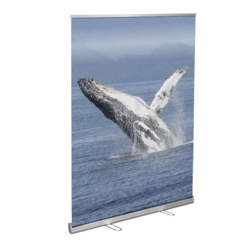 DI Humpback - Support de bannière rétractable 48 po x 78 po