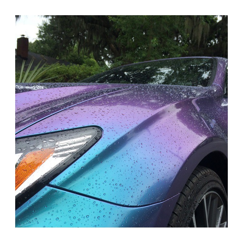 7+ Car Tint Colors