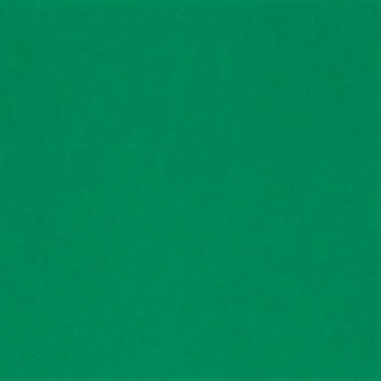 Avery® T-1507 Vert Réfléchissant