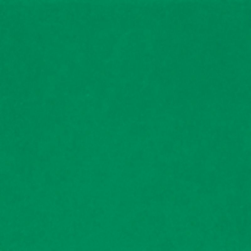 Avery® T-1507 Vert Réfléchissant